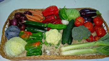 BROTES ORGANIC Tienda Ecologica