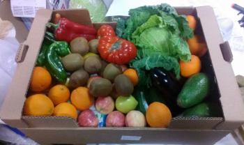 BROTES ORGANIC Tienda Ecologica