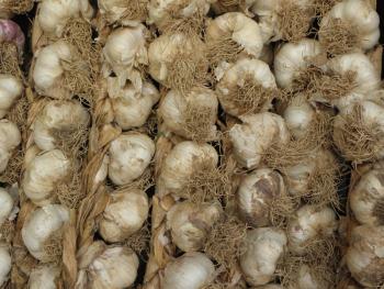 La Huerta de Ana MAry