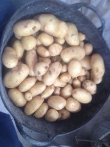 Patatas ecológicas